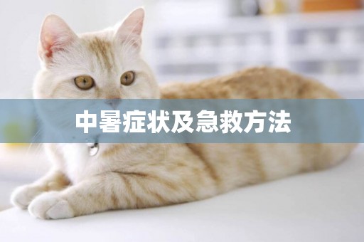 中暑癥狀及急救方法