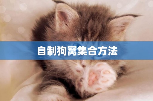 自制狗窩集合方法