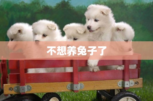 不想養兔子了