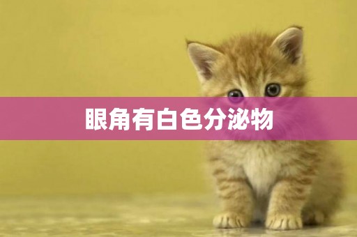 眼角有白色分泌物