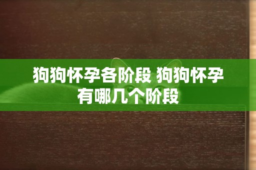 狗狗懷孕各階段 狗狗懷孕有哪幾個階段