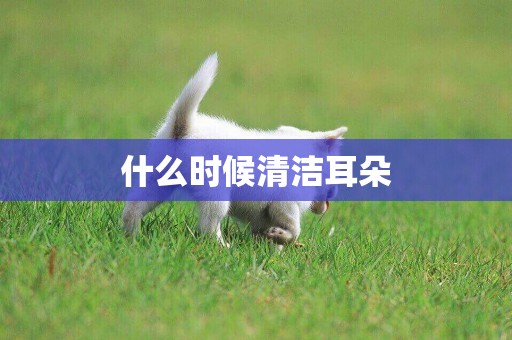 什么時候清潔耳朵