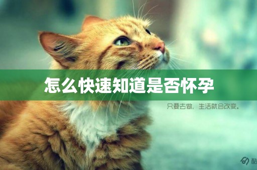 怎么快速知道是否懷孕