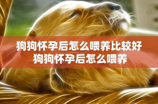 狗狗懷孕后怎么喂養比較好 狗狗懷孕后怎么喂養