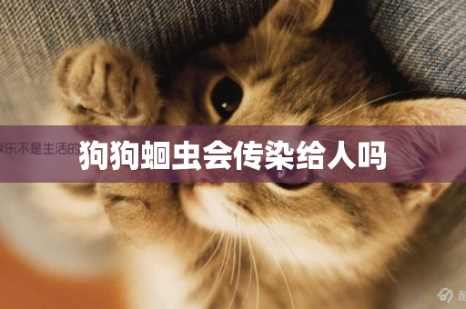 狗狗蛔蟲會傳染給人嗎
