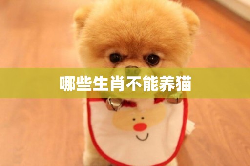 哪些生肖不能養貓