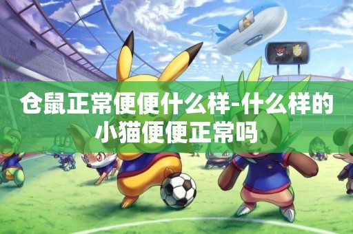 倉鼠正常便便什么樣-什么樣的小貓便便正常嗎