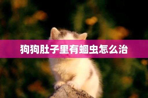 狗狗肚子里有蛔蟲怎么治