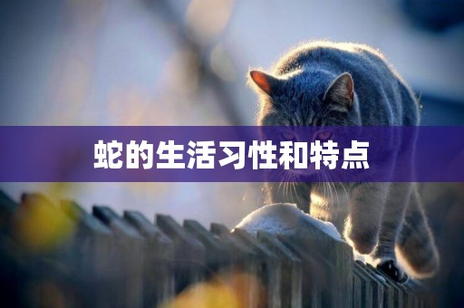 蛇的生活習性和特點