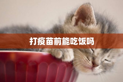 打疫苗前能吃飯嗎