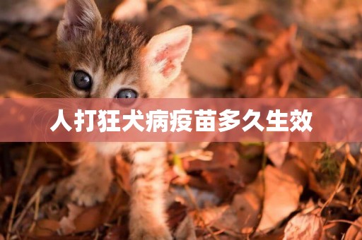人打狂犬病疫苗多久生效