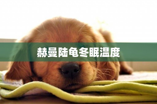 赫曼陸龜冬眠溫度