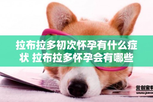 拉布拉多初次懷孕有什么癥狀 拉布拉多懷孕會有哪些癥狀