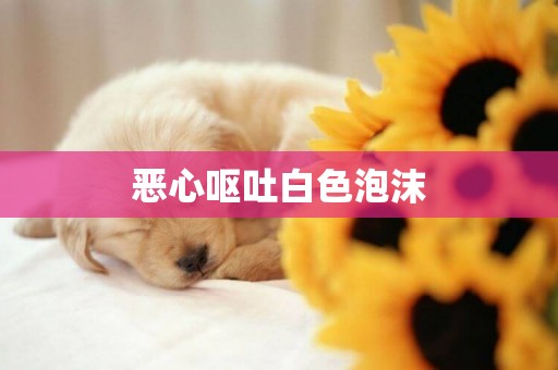 惡心嘔吐白色泡沫