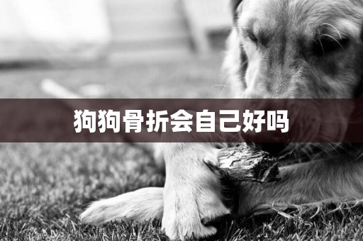 狗狗骨折會自己好嗎
