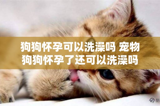 狗狗懷孕可以洗澡嗎 寵物狗狗懷孕了還可以洗澡嗎