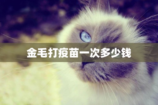 金毛打疫苗一次多少錢