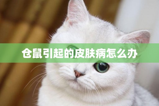 倉鼠引起的皮膚病怎么辦