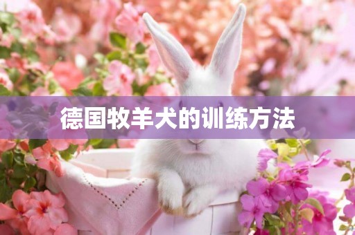 德國牧羊犬的訓練方法