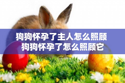 狗狗懷孕了主人怎么照顧 狗狗懷孕了怎么照顧它