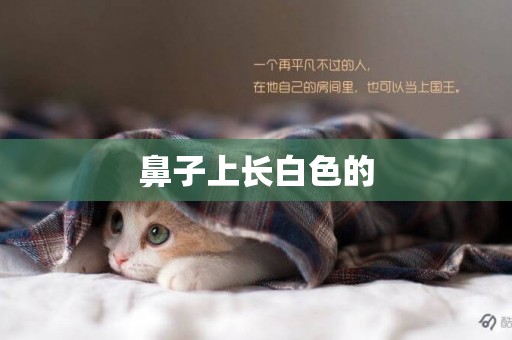 鼻子上長白色的