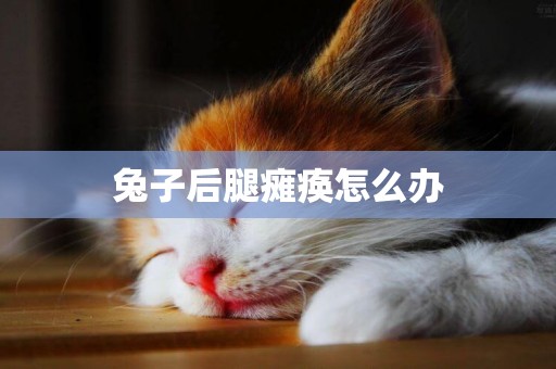 兔子后腿癱瘓怎么辦