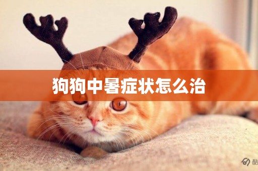 狗狗中暑癥狀怎么治