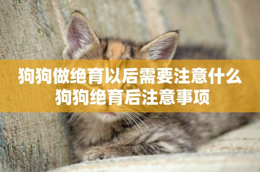狗狗做絕育以后需要注意什么 狗狗絕育后注意事項