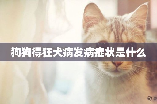狗狗得狂犬病發病癥狀是什么