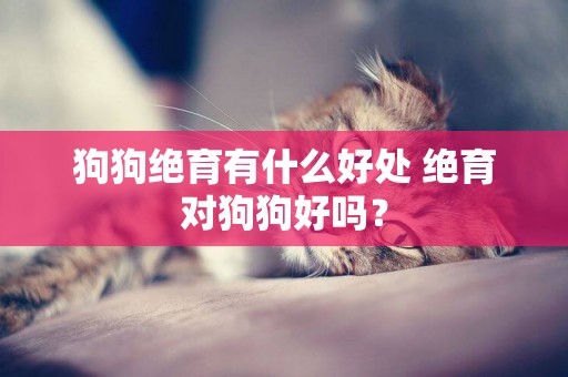 狗狗絕育有什么好處 絕育對狗狗好嗎？