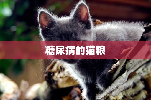 糖尿病的貓糧