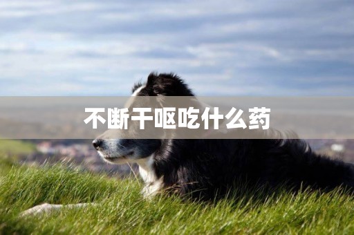 不斷干嘔吃什么藥