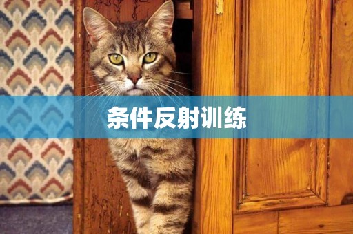 條件反射訓練
