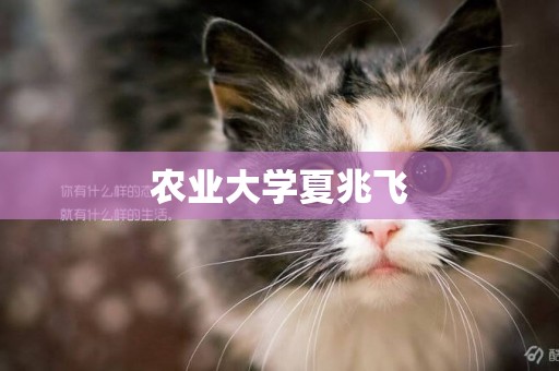 農業大學夏兆飛