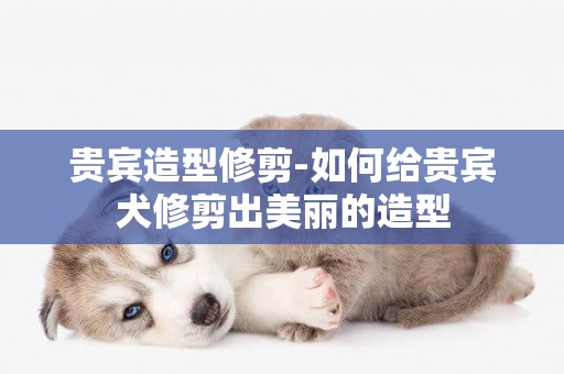貴賓造型修剪-如何給貴賓犬修剪出美麗的造型