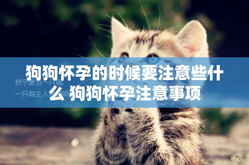 狗狗懷孕的時候要注意些什么 狗狗懷孕注意事項