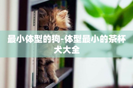 最小體型的狗-體型最小的茶杯犬大全