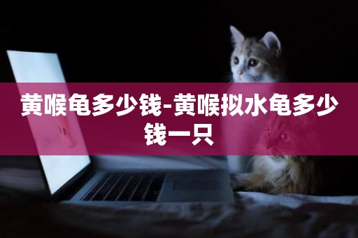 黃喉龜多少錢-黃喉擬水龜多少錢一只