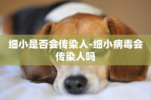 細小是否會傳染人-細小病毒會傳染人嗎
