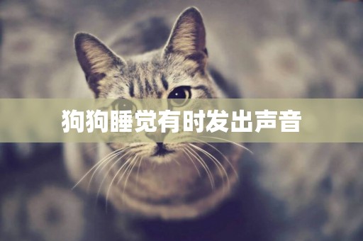 狗狗睡覺有時發出聲音