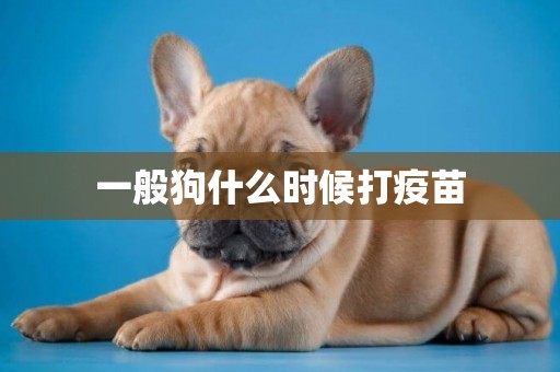 一般狗什么時候打疫苗