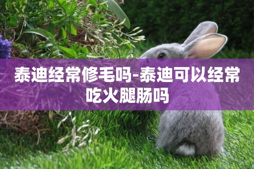 泰迪經常修毛嗎-泰迪可以經常吃火腿腸嗎
