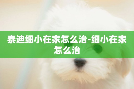 泰迪細小在家怎么治-細小在家怎么治