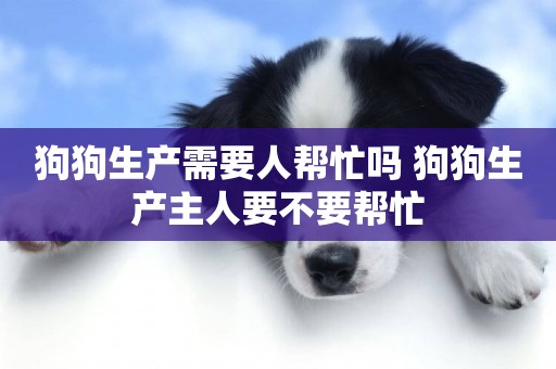 狗狗生產需要人幫忙嗎 狗狗生產主人要不要幫忙