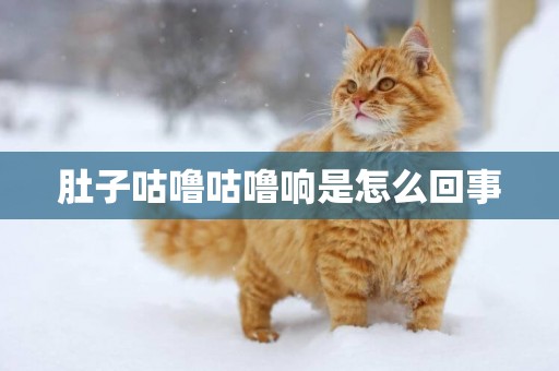 肚子咕嚕咕嚕響是怎么回事