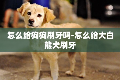 怎么給狗狗刷牙嗎-怎么給大白熊犬刷牙