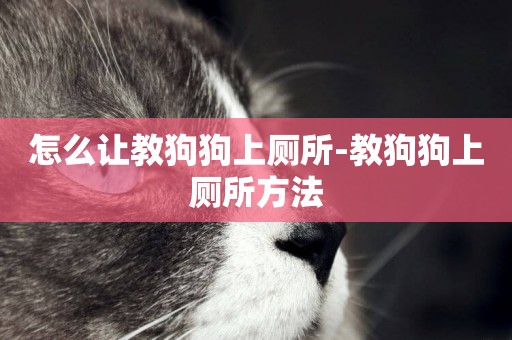 怎么讓教狗狗上廁所-教狗狗上廁所方法