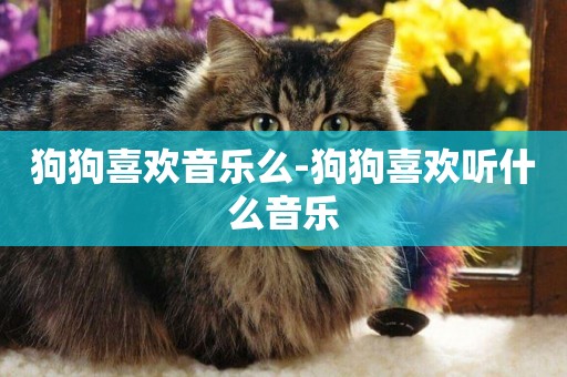 狗狗喜歡音樂么-狗狗喜歡聽什么音樂