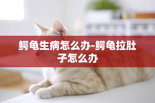 鱷龜生病怎么辦-鱷龜拉肚子怎么辦
