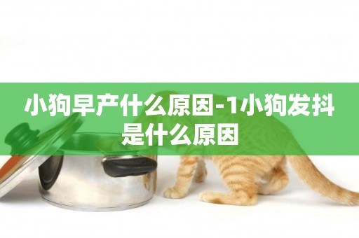 小狗早產什么原因-1小狗發抖是什么原因
